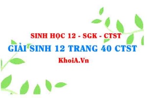 Giải Sinh 12 trang 40 Chân trời Sáng tạo